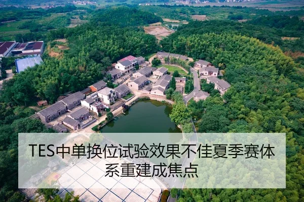 TES中单换位试验效果不佳夏季赛体系重建成焦点